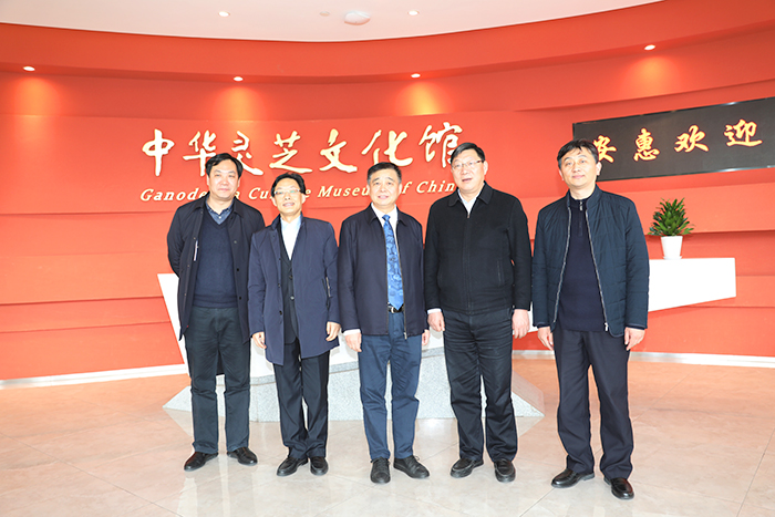 專(zhuān)題報(bào)道