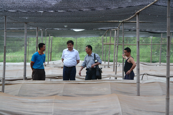 圖片關鍵詞 圖片關鍵詞