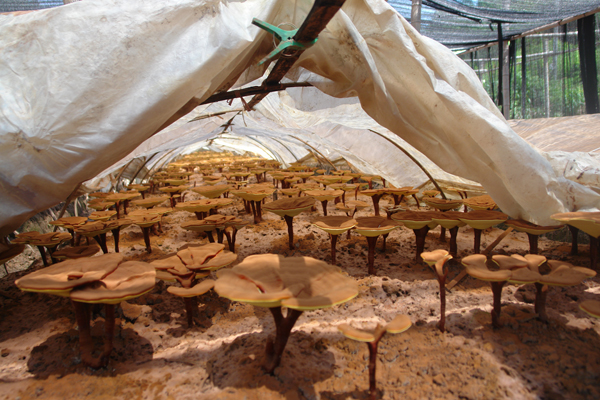 圖片關鍵詞 圖片關鍵詞