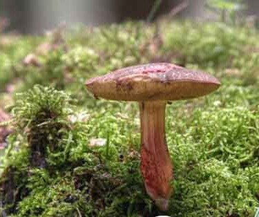 圖片關鍵詞 圖片關鍵詞