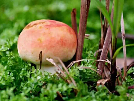 圖片關鍵詞 圖片關鍵詞