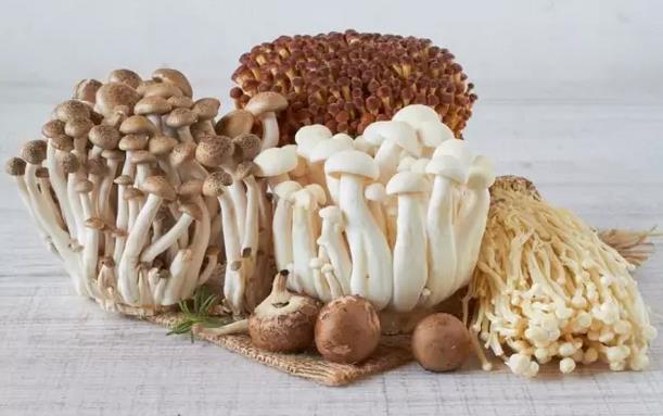 圖片關鍵詞 圖片關鍵詞