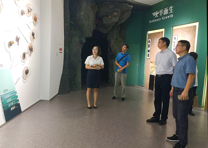 圖片關鍵詞 圖片關鍵詞