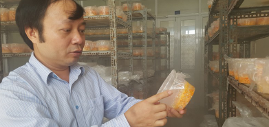 圖片關鍵詞 圖片關鍵詞