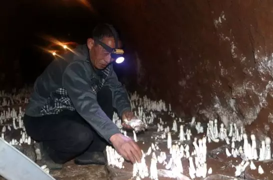 圖片關鍵詞 圖片關鍵詞