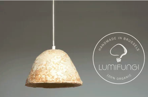 圖片關鍵詞 http://www.ncys.com.cn/ewebeditor/uploadfile/20180727085601461001.png