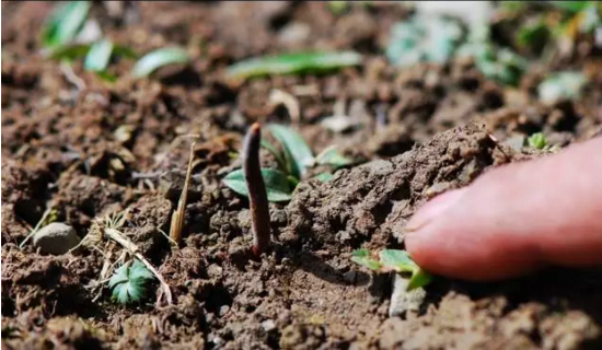 圖片關鍵詞 http://www.ncys.com.cn/ewebeditor/uploadfile/20180814102741148001.png