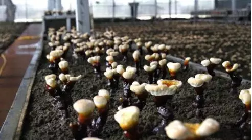 圖片關(guān)鍵詞 圖片關(guān)鍵詞