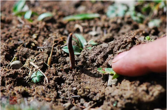 圖片關鍵詞 http://www.ncys.com.cn/ewebeditor/uploadfile/20180921101313325001.png