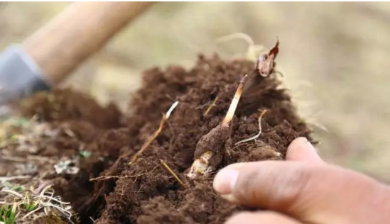 圖片關鍵詞 http://www.ncys.com.cn/ewebeditor/uploadfile/20180921101228689001.png