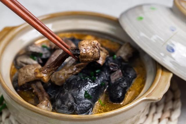 國(guó)家蘑菇地理：中國(guó)哪里的蘑菇最好吃？