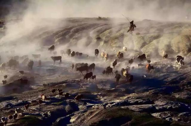 國(guó)家蘑菇地理：中國(guó)哪里的蘑菇最好吃？