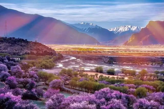 國(guó)家蘑菇地理：中國(guó)哪里的蘑菇最好吃？