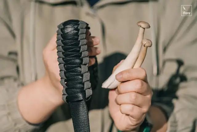 圖片關(guān)鍵詞 https://mmbiz.qpic.cn/mmbiz_jpg/qmUUOFzKOySS5yS0zAJrEWXW05M9z5vH5C4QuZfTn3PXF3y4iaf6UuqBZt0UhSZb159WlibbY5Z7d8nmiaMqjgPEQ/640?wx_fmt=jpeg