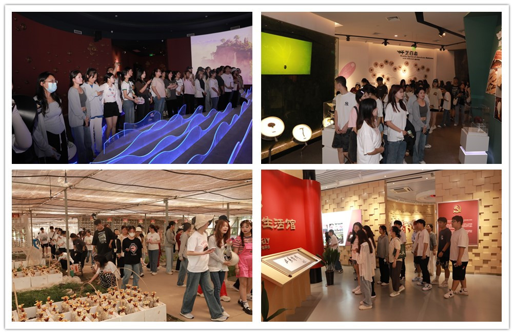 圖片關(guān)鍵詞 圖片關(guān)鍵詞