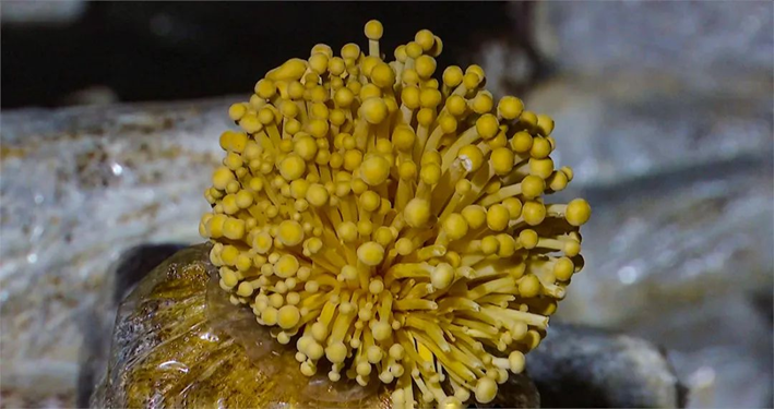 圖片關鍵詞 圖片關鍵詞