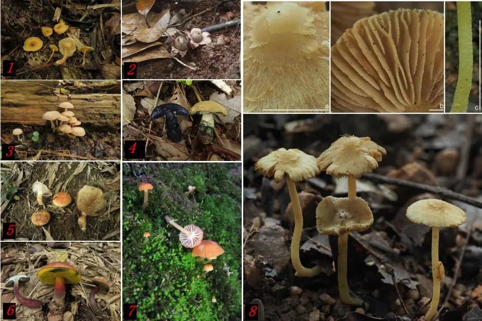 圖片關(guān)鍵詞 圖片關(guān)鍵詞