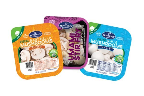 圖片關鍵詞 圖片關鍵詞