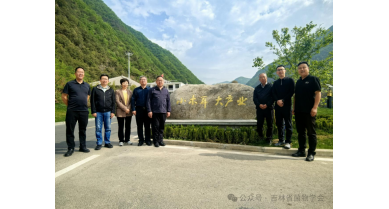 行業(yè)動態(tài)